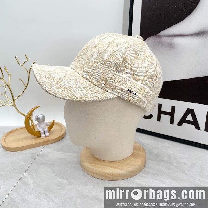Dior Hat dx12