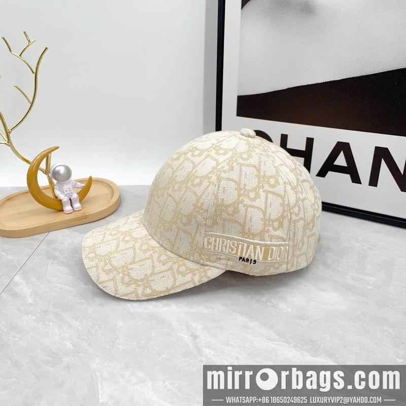 Dior Hat dx12
