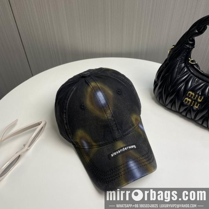 Alexander Wang Hat dx17