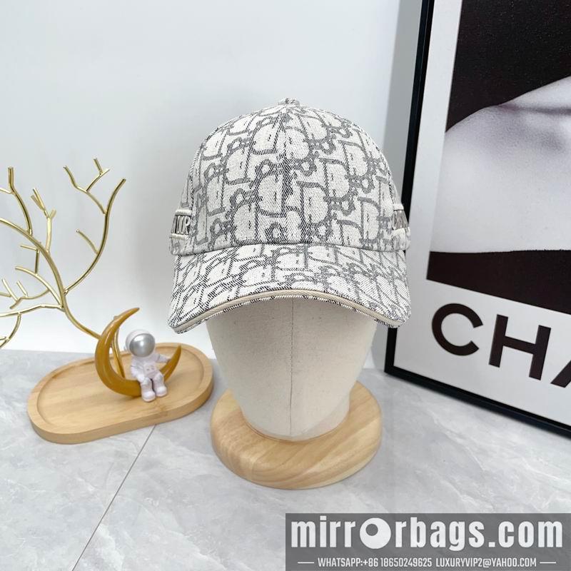 Dior Hat dx12