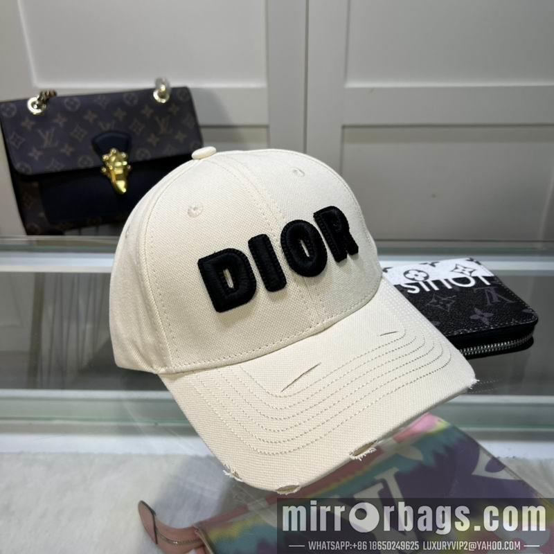 Dior Hat dx08