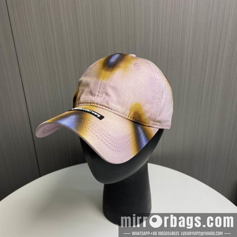 Alexander Wang Hat dx17