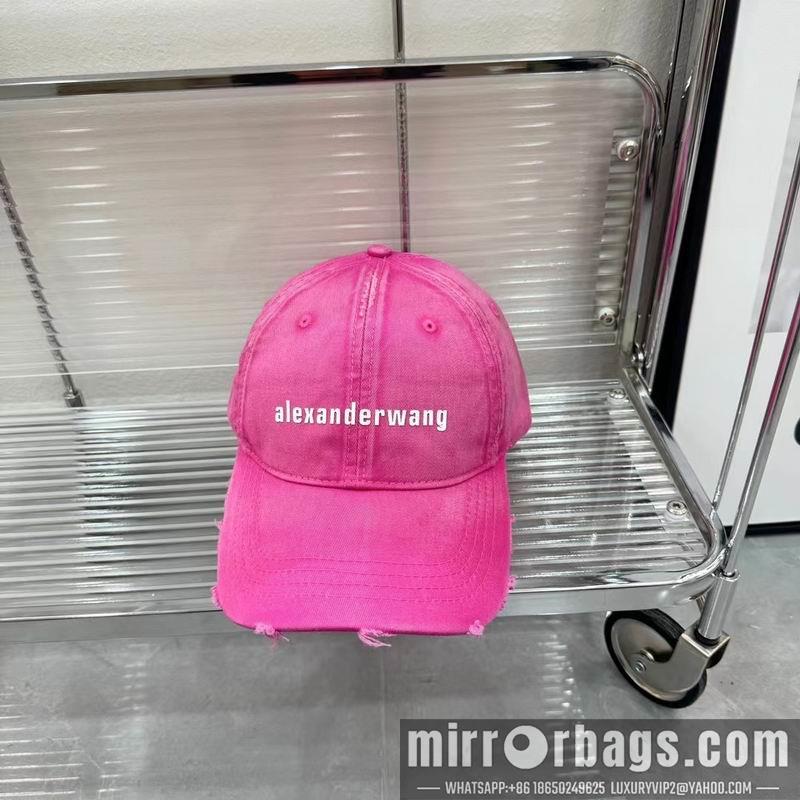Alexander Wang Hat dx01