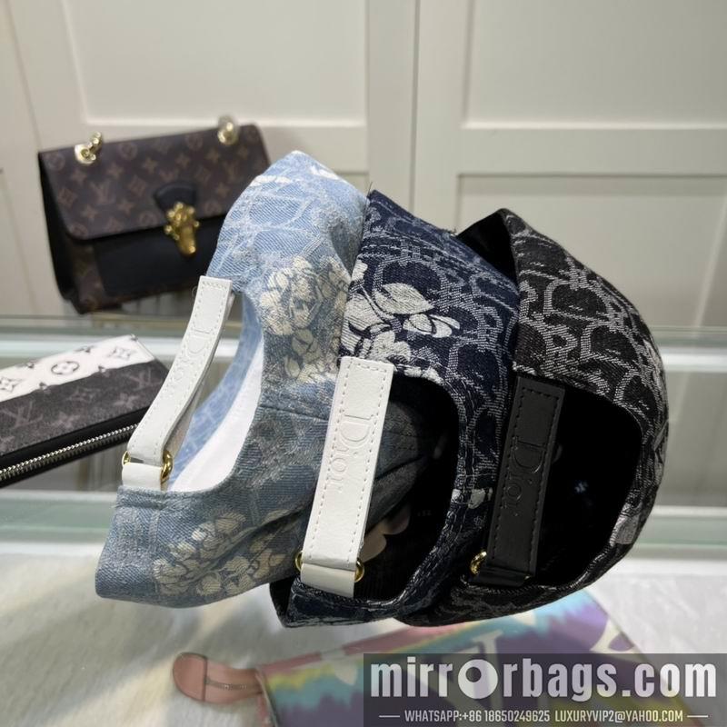 Dior Hat dx29