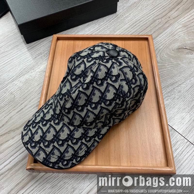 Dior Hat dx28