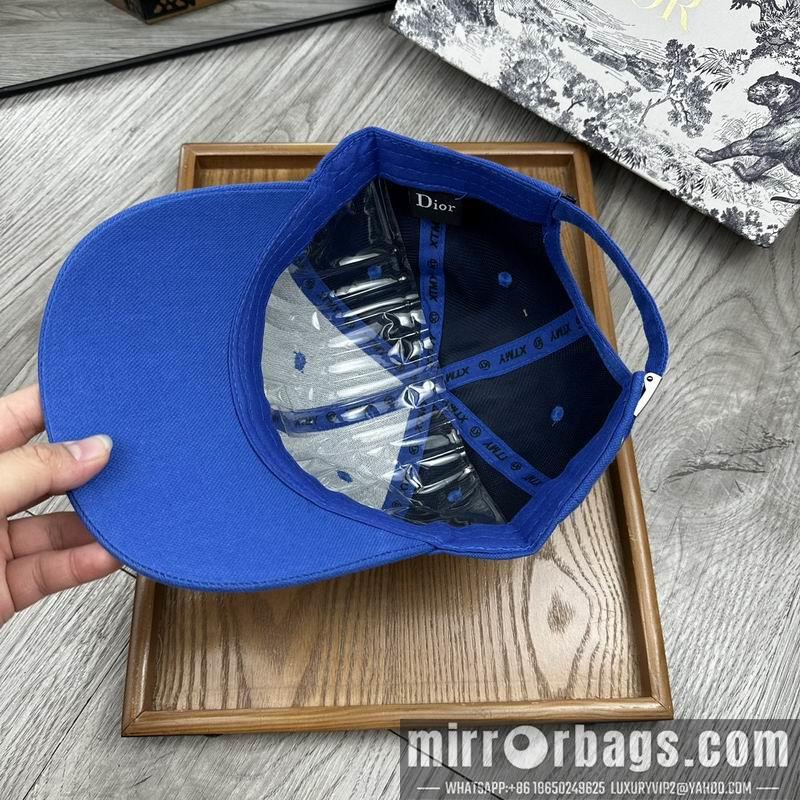 Dior Hat dx11