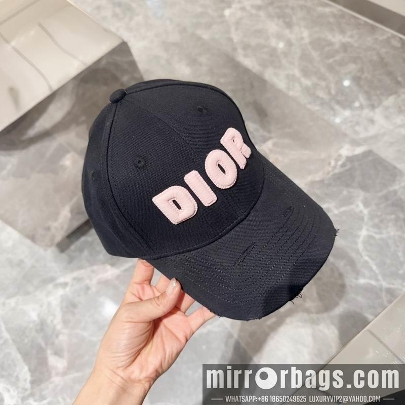 Dior Hat dx12