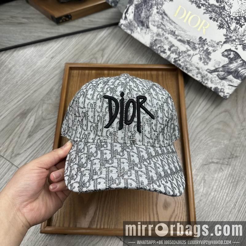Dior Hat dx12