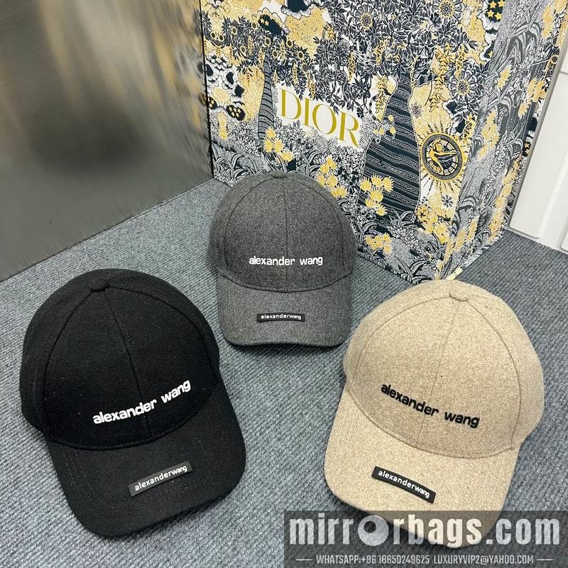 Alexander Wang Hat dx15