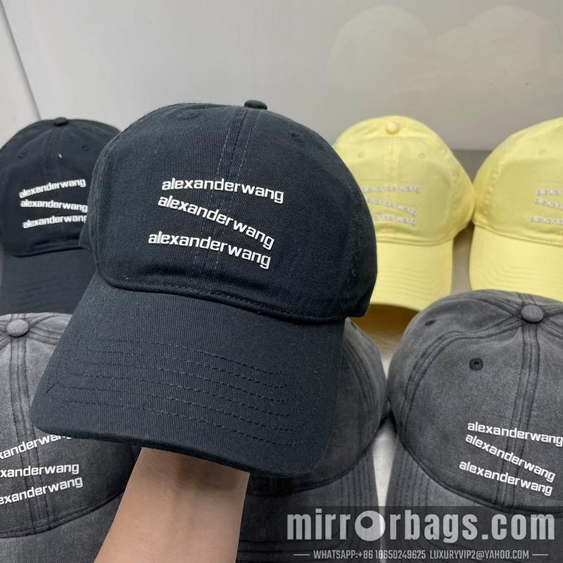 Alexander Wang Hat dx21