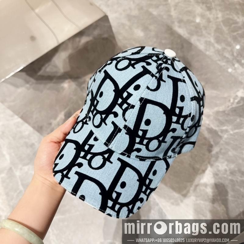 Dior Hat dx13