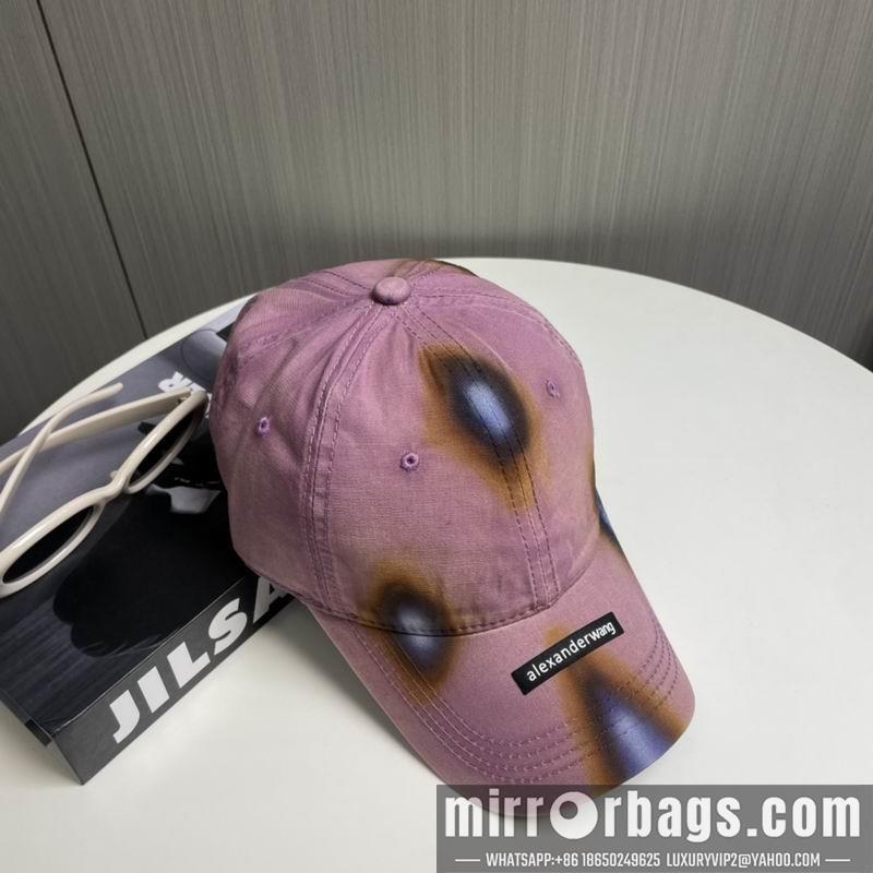 Alexander Wang Hat dx17