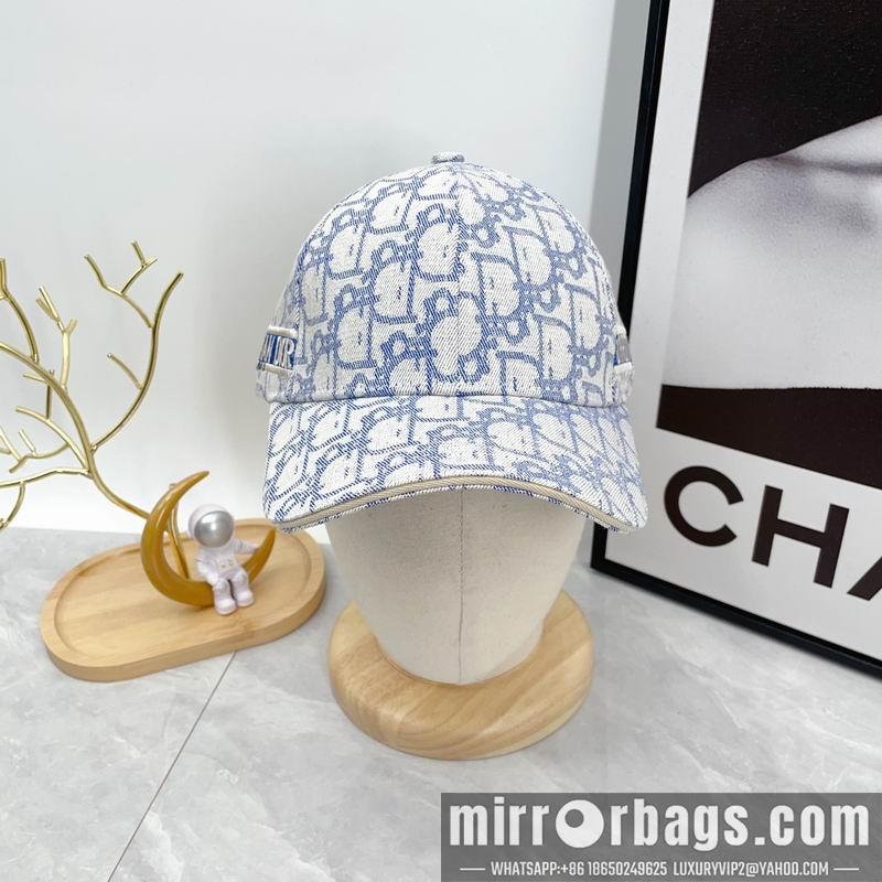 Dior Hat dx12