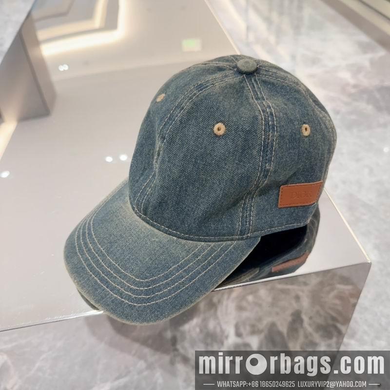 Dior Hat dx11