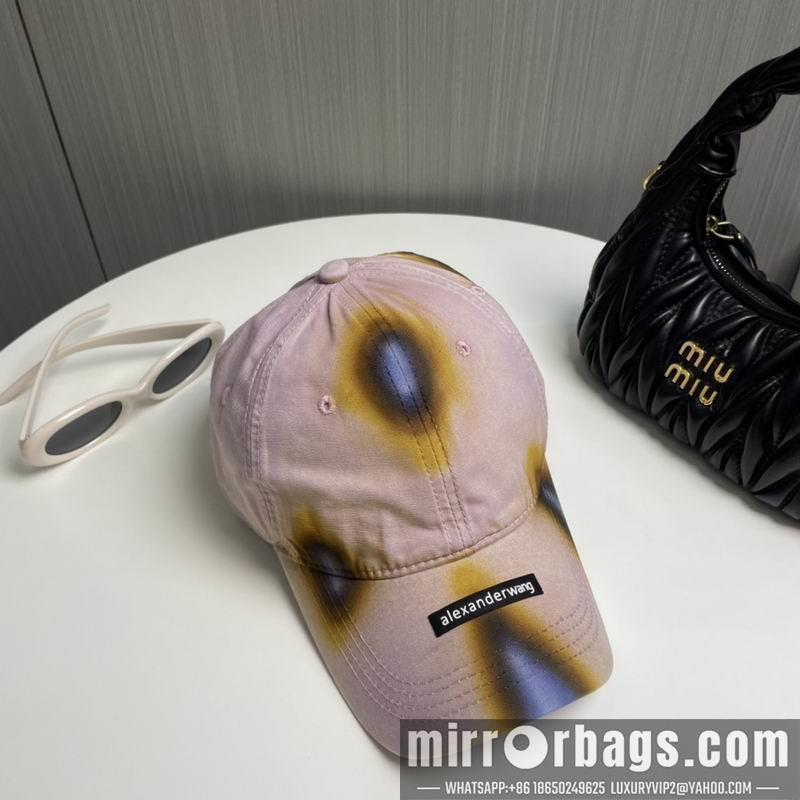 Alexander Wang Hat dx17