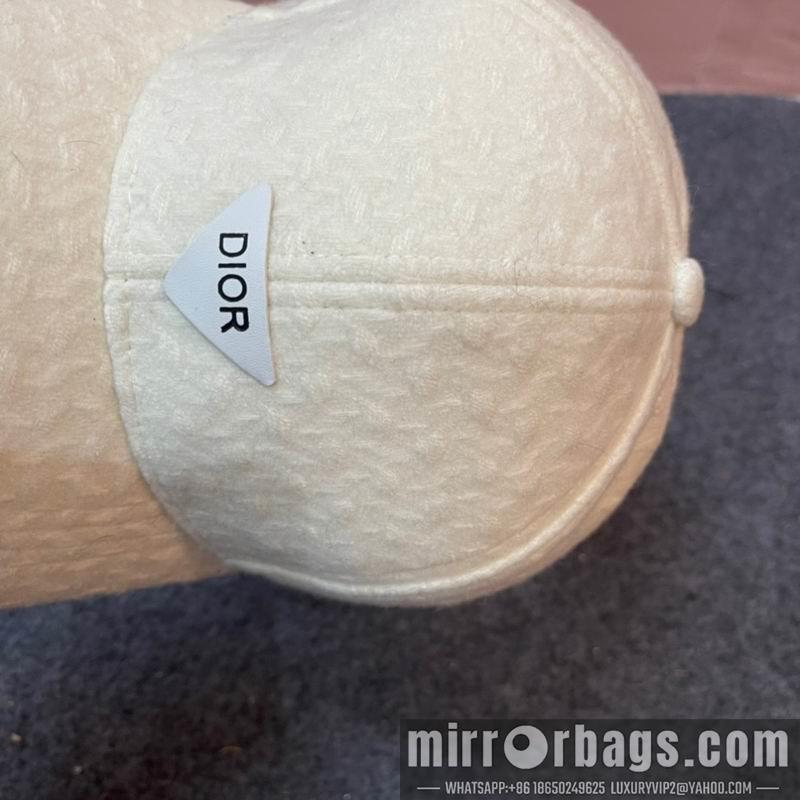 Dior Hat 011301
