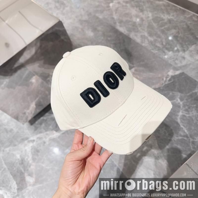 Dior Hat dx12