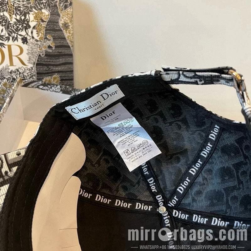 Dior Hat dx19