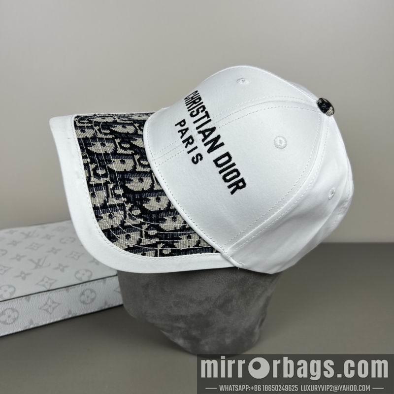 Dior Hat dx13