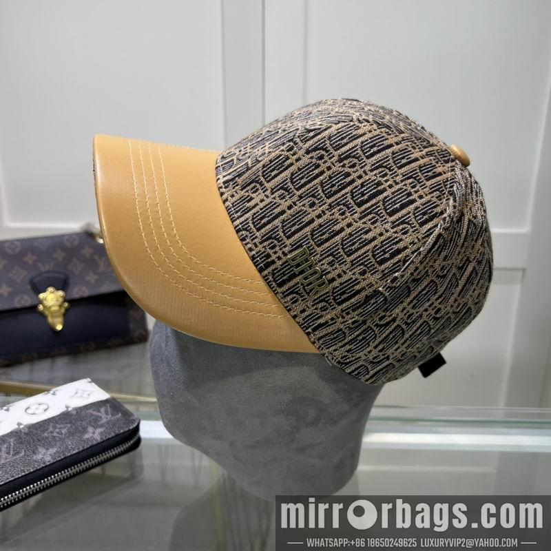 Dior Hat dxDior Hat dx73