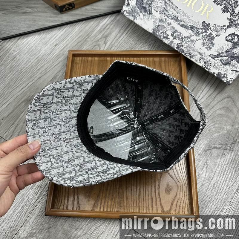 Dior Hat dx12