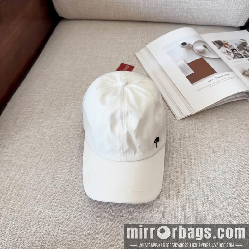 Loro Piana Hat dx14