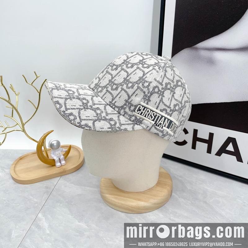 Dior Hat dx12