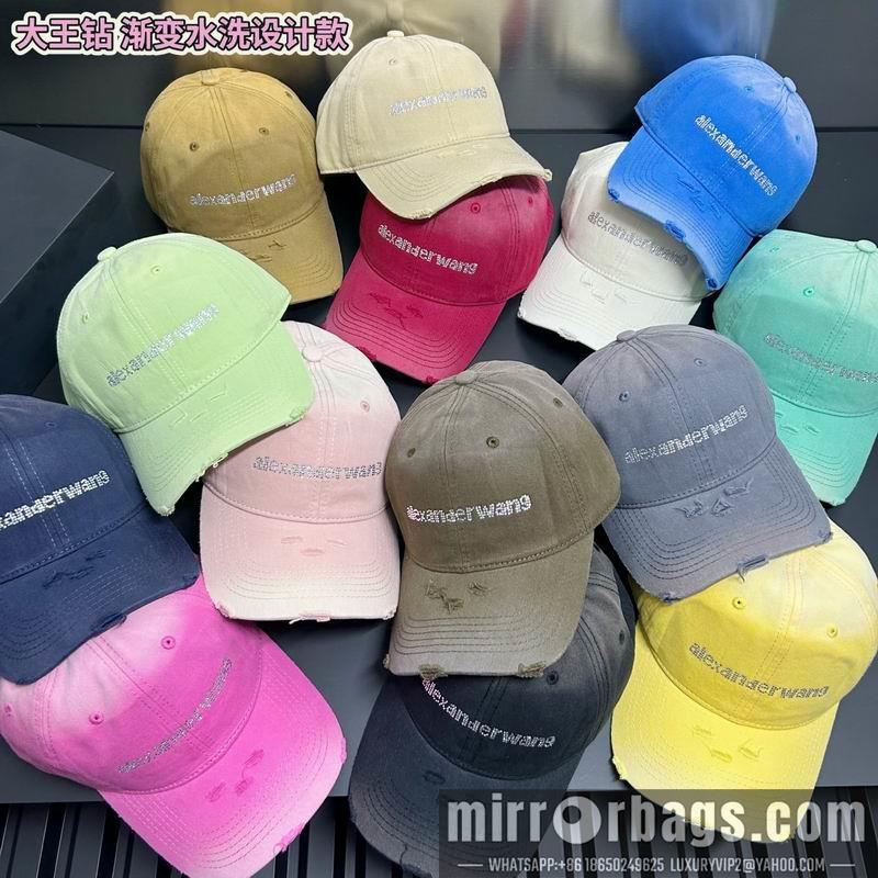 Alexander Wang Hat dx64