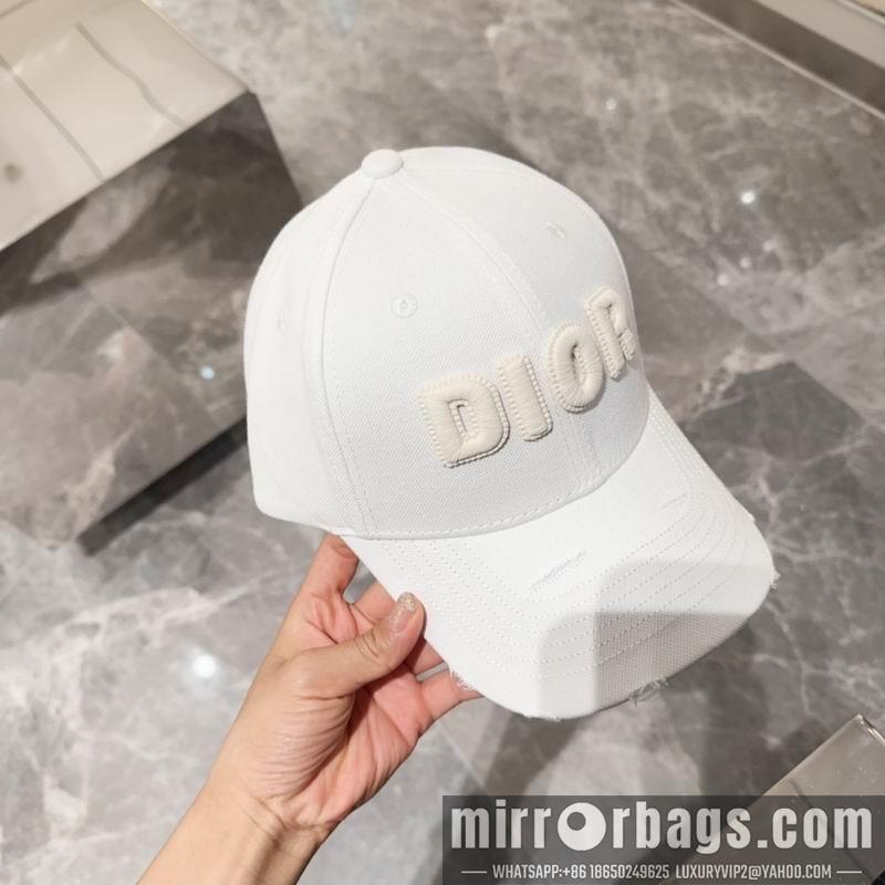 Dior Hat dx12