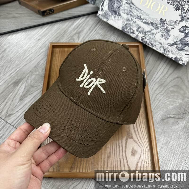 Dior Hat dx11