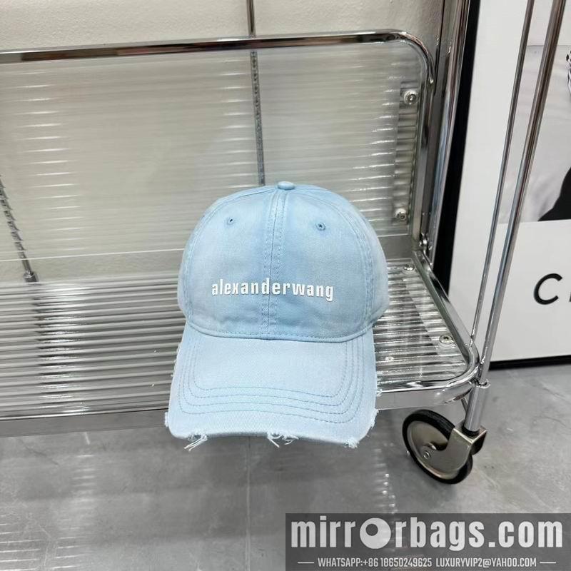 Alexander Wang Hat dx01