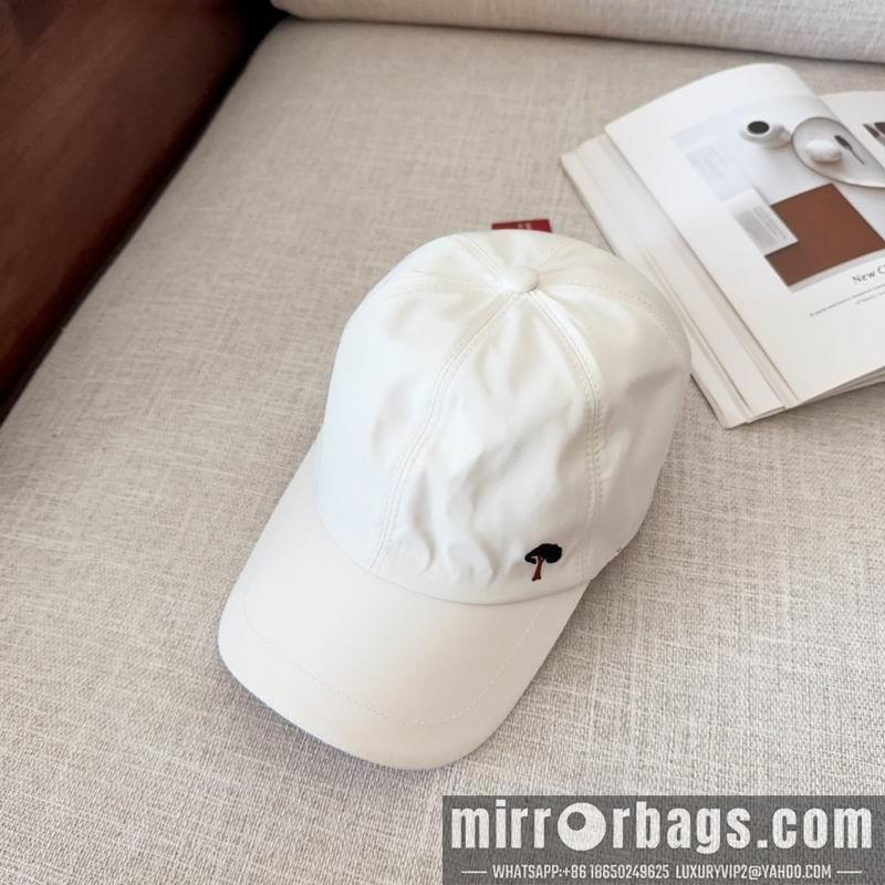 Loro Piana Hat dx14
