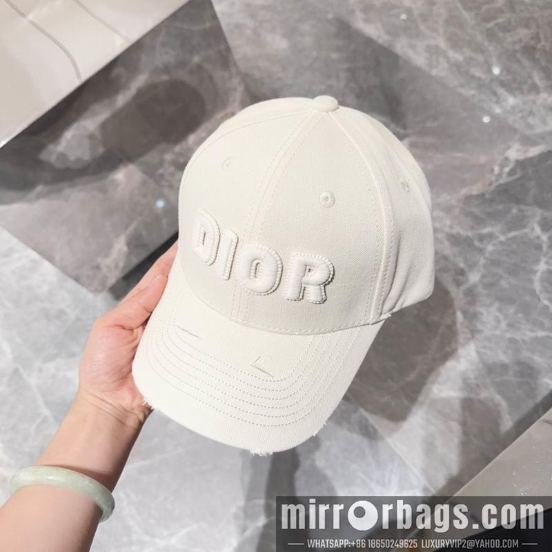 Dior Hat dx12