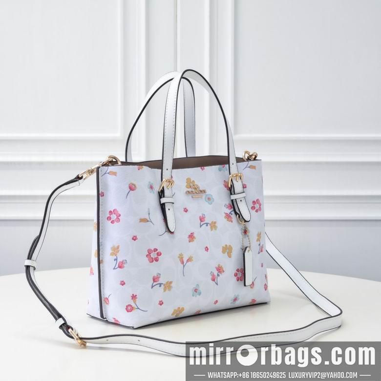 Coach Bags 25X19X12cm 090901 AZ