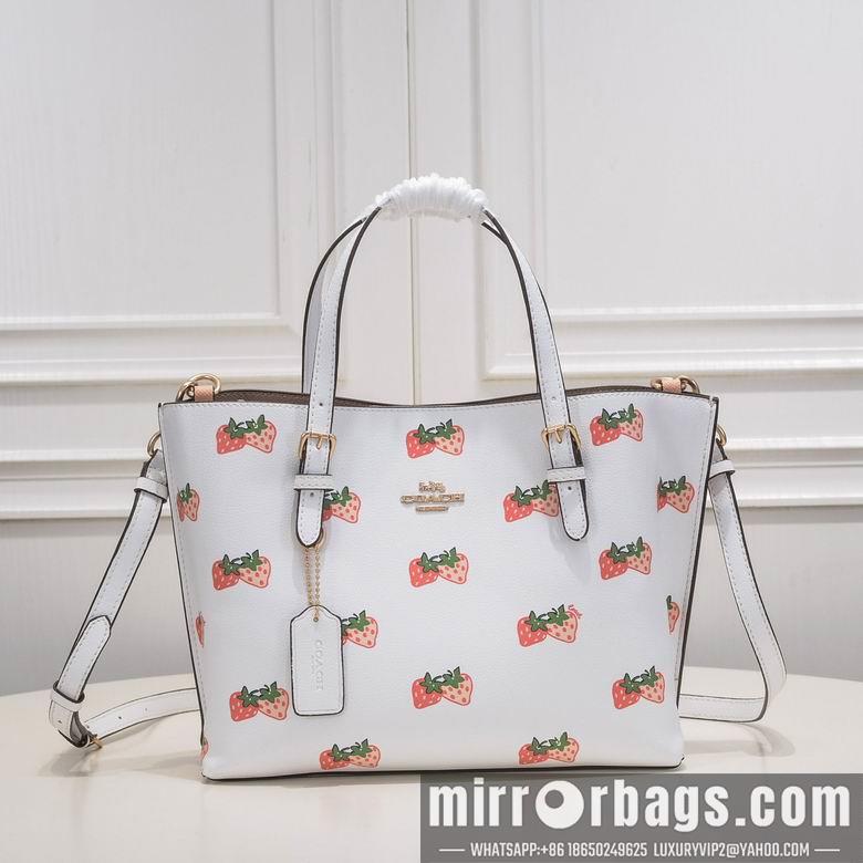 Coach Bags CB600 25X19X12cm AZ