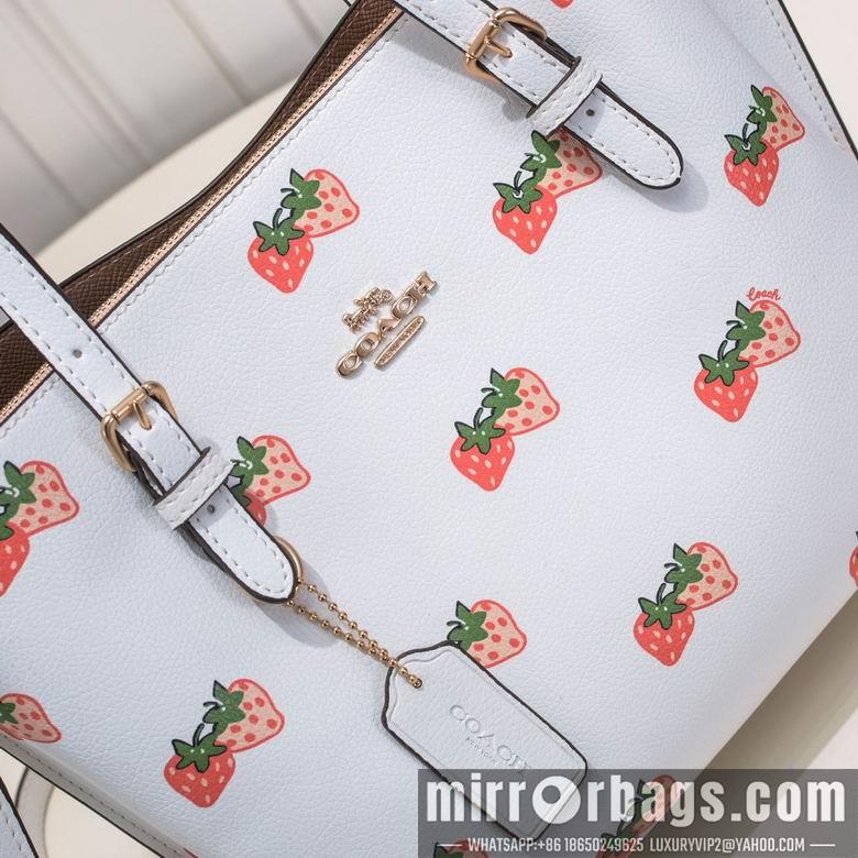 Coach Bags CB600 25X19X12cm AZ