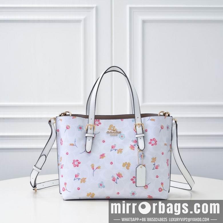 Coach Bags 25X19X12cm 090901 AZ