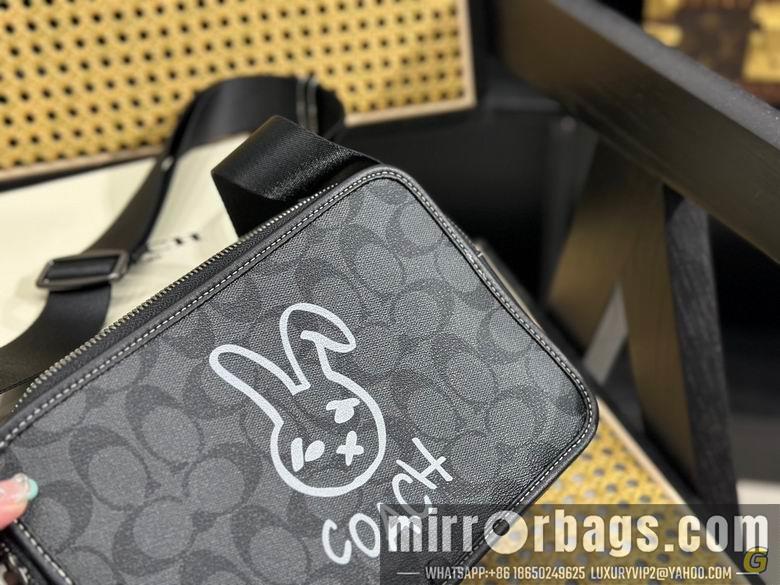 Coach Bags 24X17cm 081710 DN
