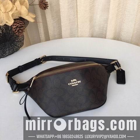 Coach Bags BH48740 30X12X11 two colors