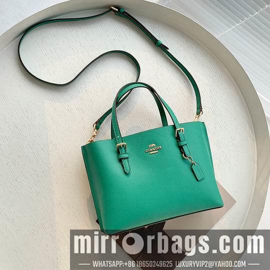 Coach Bags Coach C4250 25x19x110cm zy2