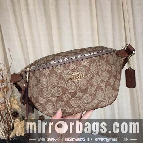 Coach Bags BH48740 30X12X11 two colors
