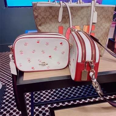 Coach Bags BH2835 24X15X8