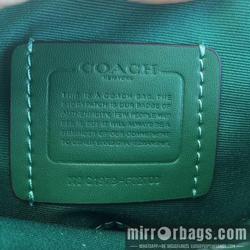 Coach Bags XXL72703 green