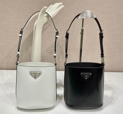 Prada Bags 1BE059 17x18x10.5cm Ap