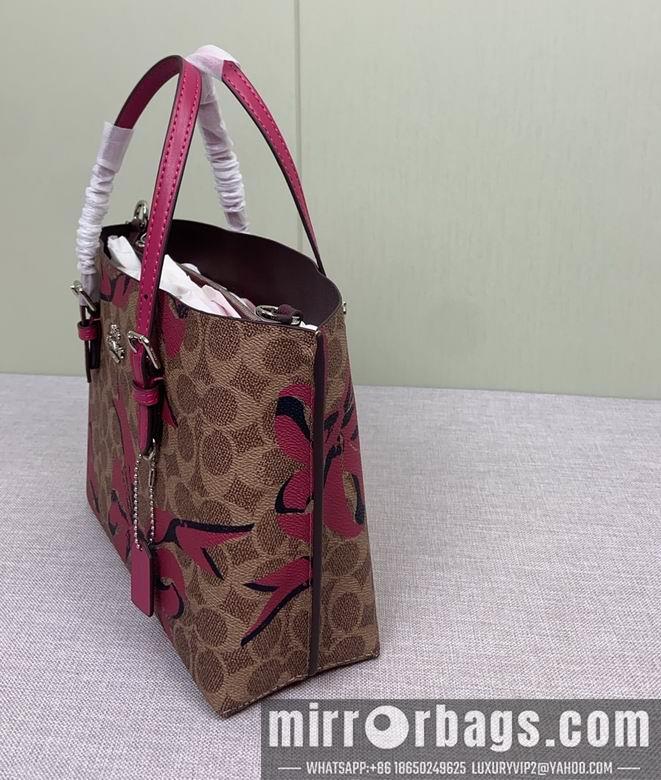 Coach Bags CZ767 25X19X11cm AZ 2colour
