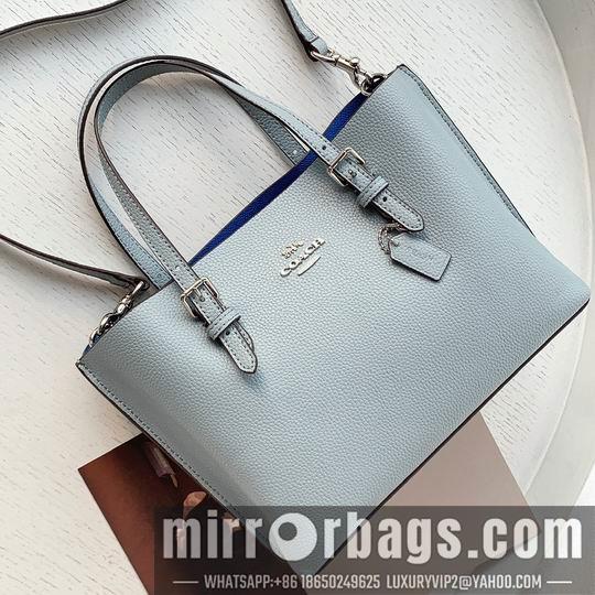 Coach Bags Coach C4250 25x19x110cm zy1