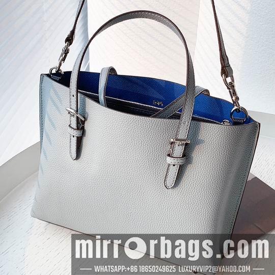 Coach Bags Coach C4250 25x19x110cm zy1