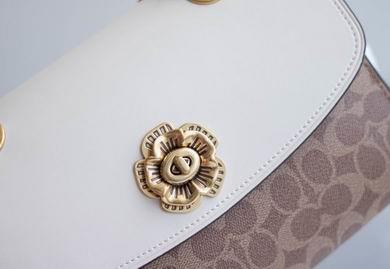 Coach Bags BH30585 26X17X10 two colors