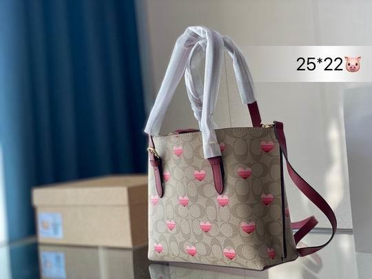 Coach Bags Coach mollie 25x22cm CN