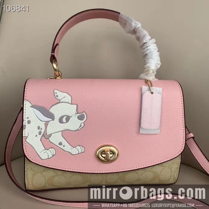 Coach Bags 91128 25X16cm DN